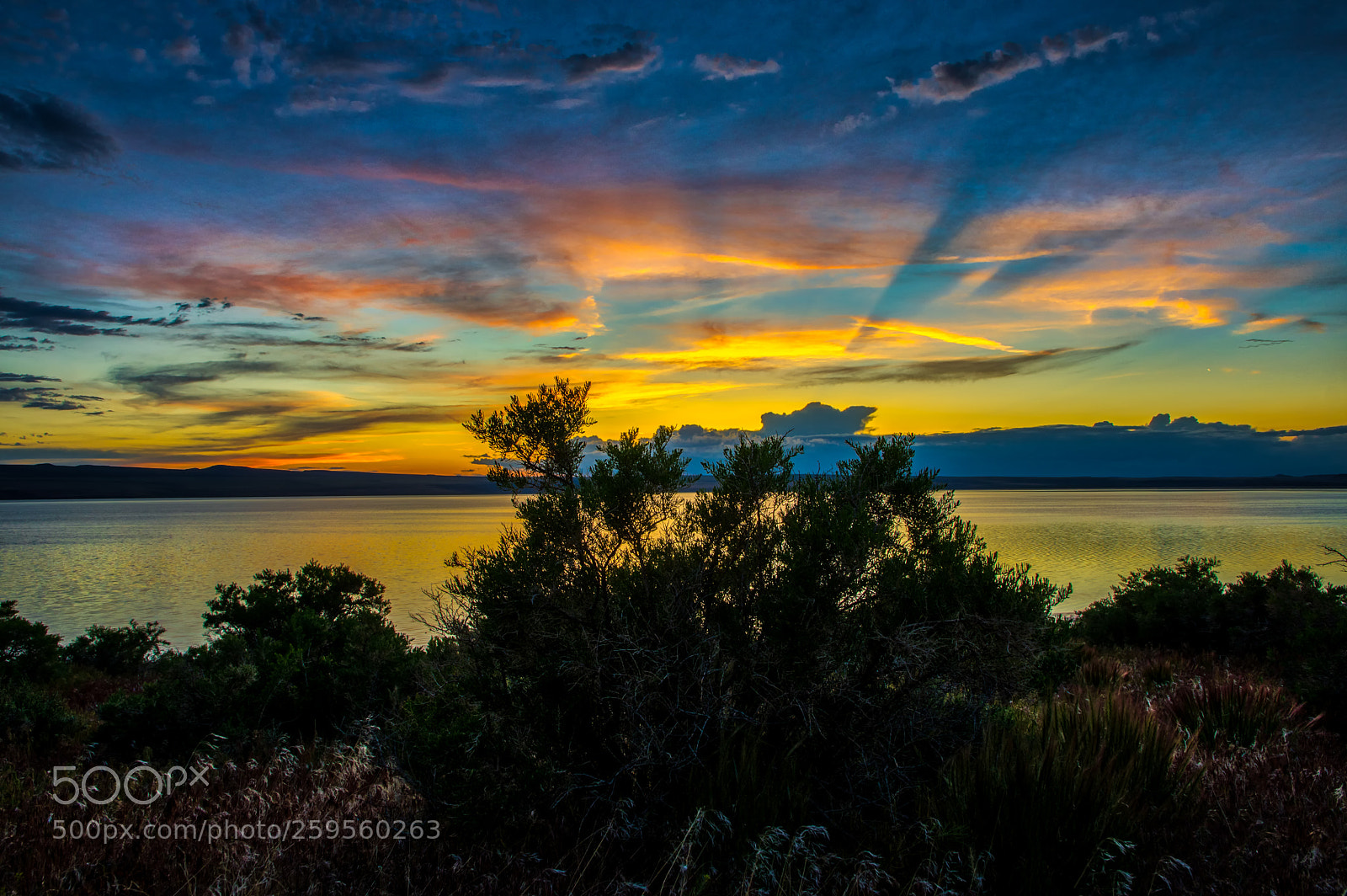 Pentax K-3 II sample photo. Lake abert photography