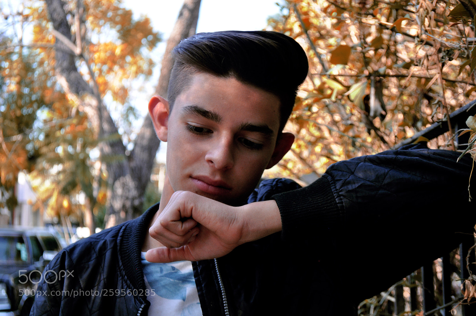 Nikon D5000 sample photo. Quiet photography