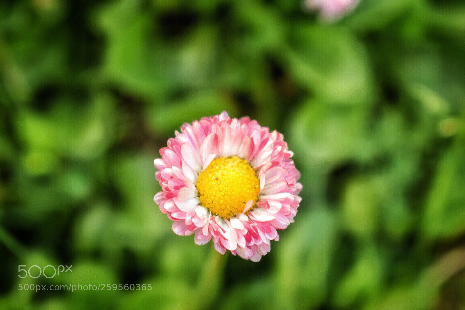 Nikon D5300 sample photo. Untitled photography