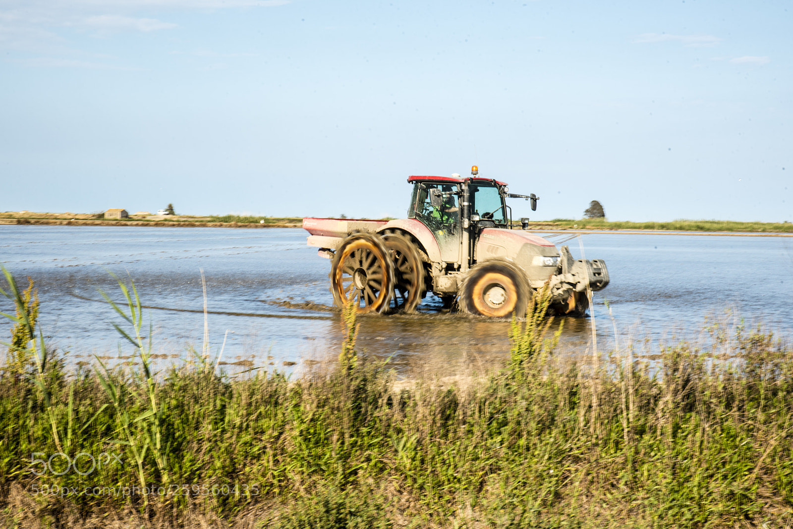 Nikon D750 sample photo. Sowing the rice photography