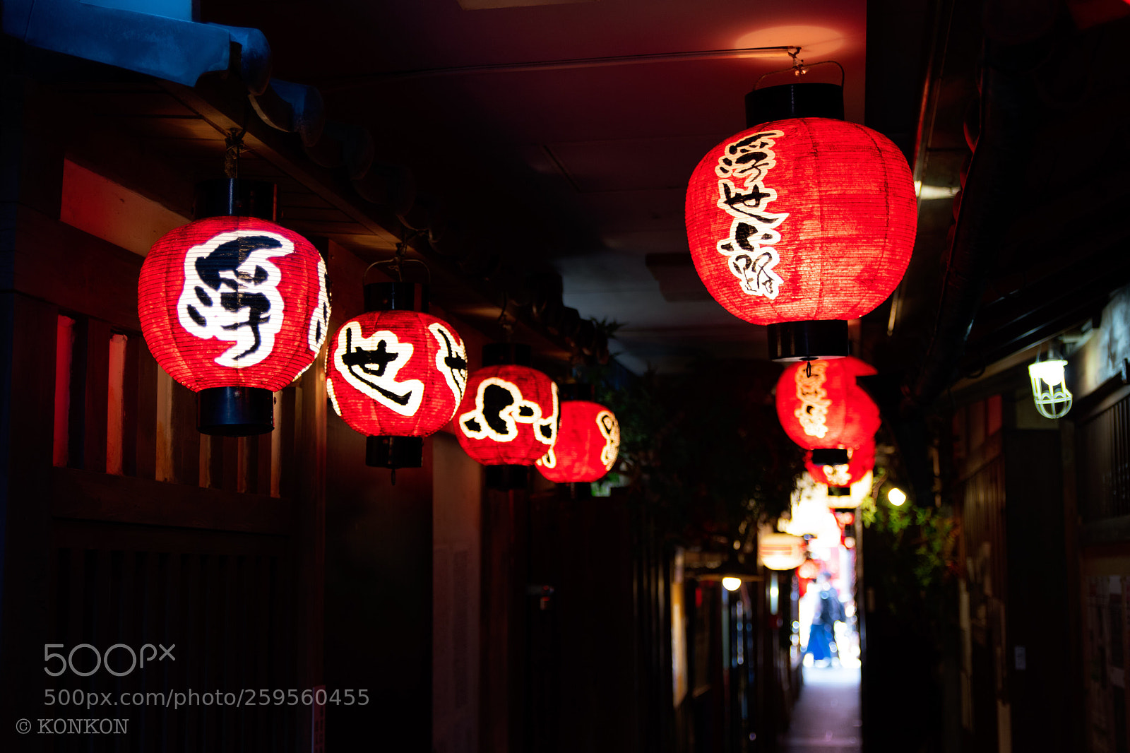 Nikon D7500 sample photo. Ukiyo kouji photography