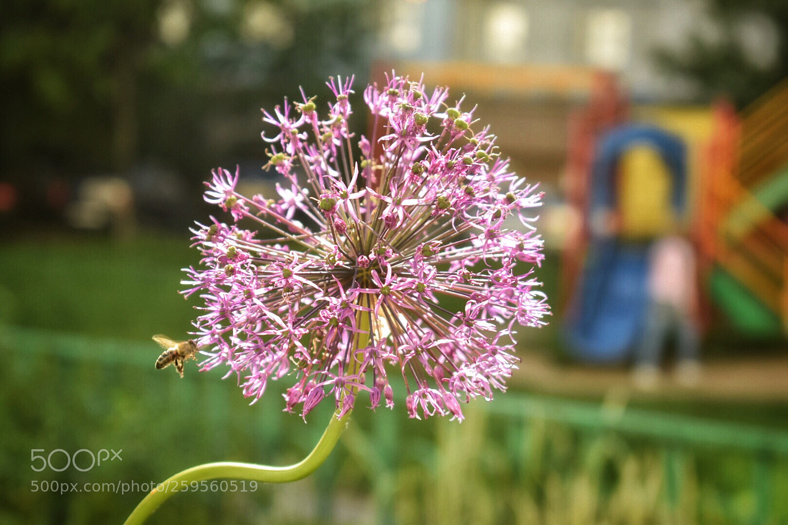 Nikon D5300 sample photo. Untitled photography