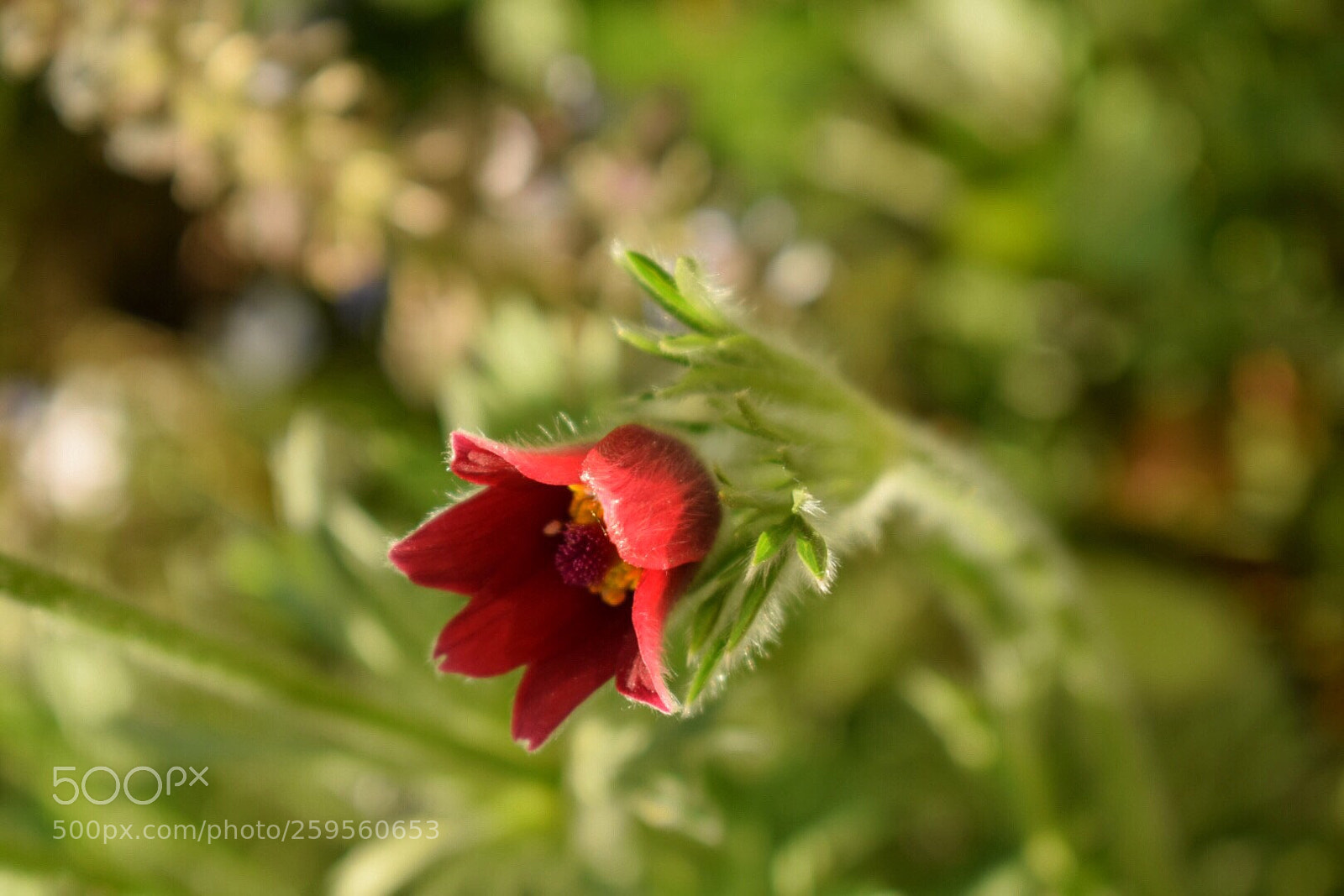 Nikon D5300 sample photo. Untitled photography
