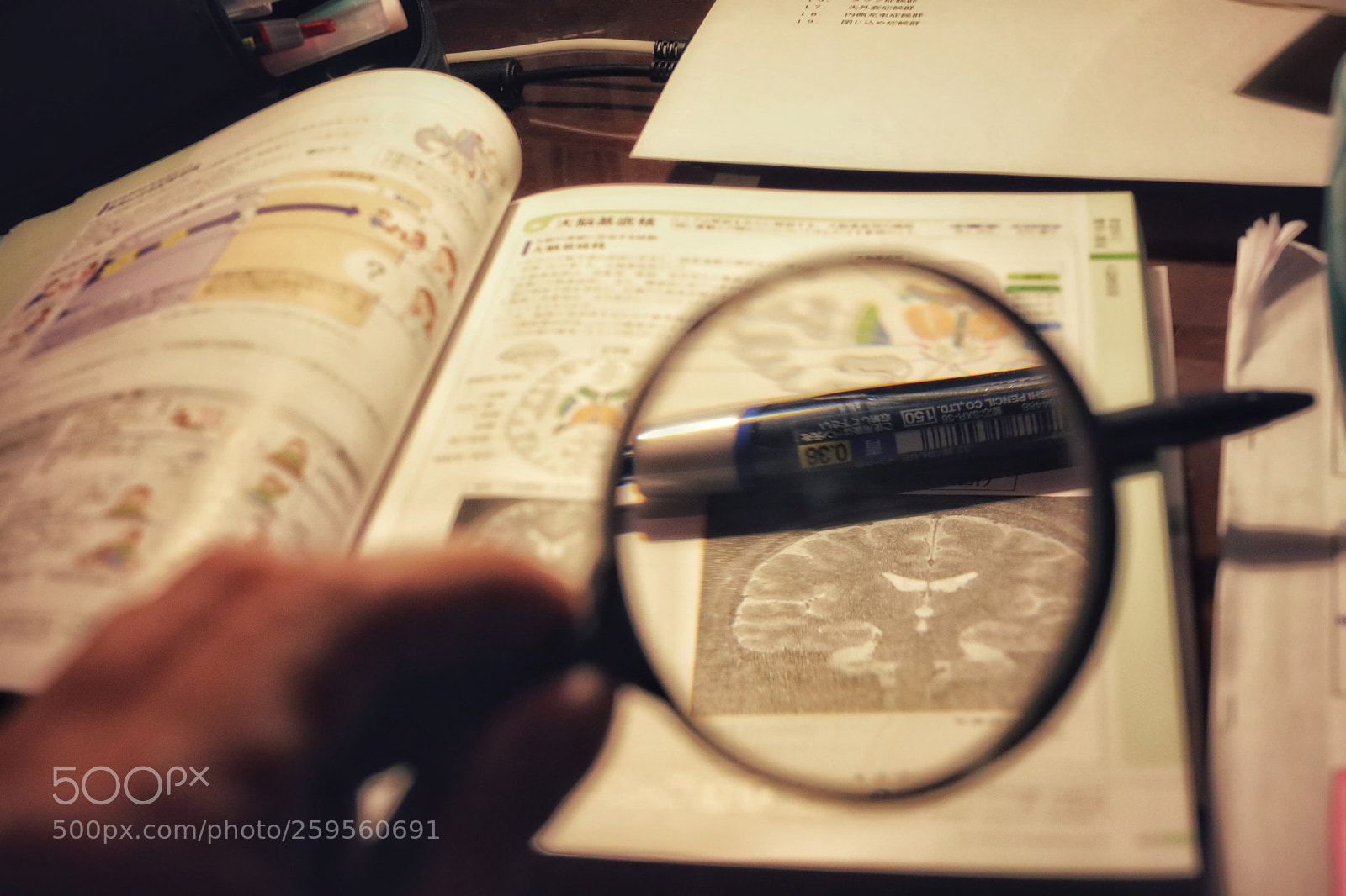 Canon EOS 5D Mark IV sample photo. Untitled photography