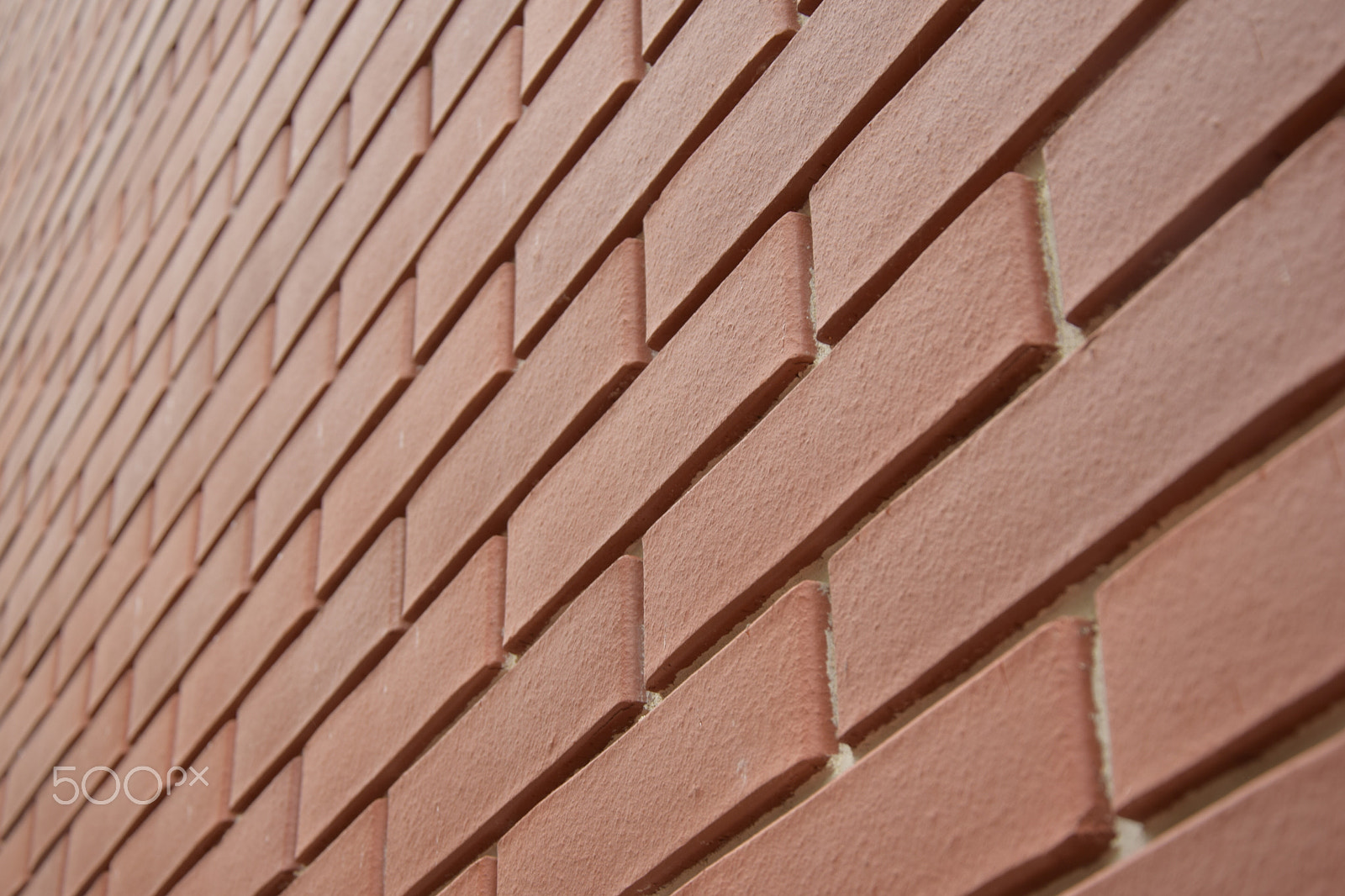 Nikon D3300 sample photo. Texture photography