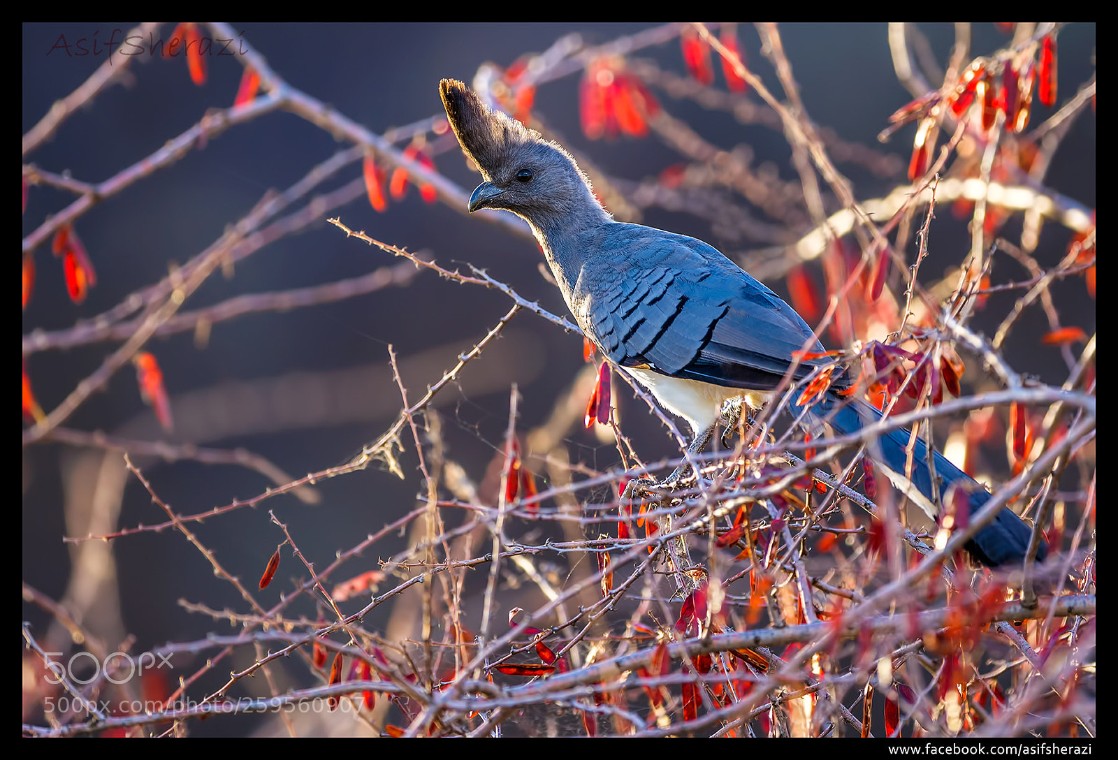 Nikon D5 sample photo. Beauty of the nature photography