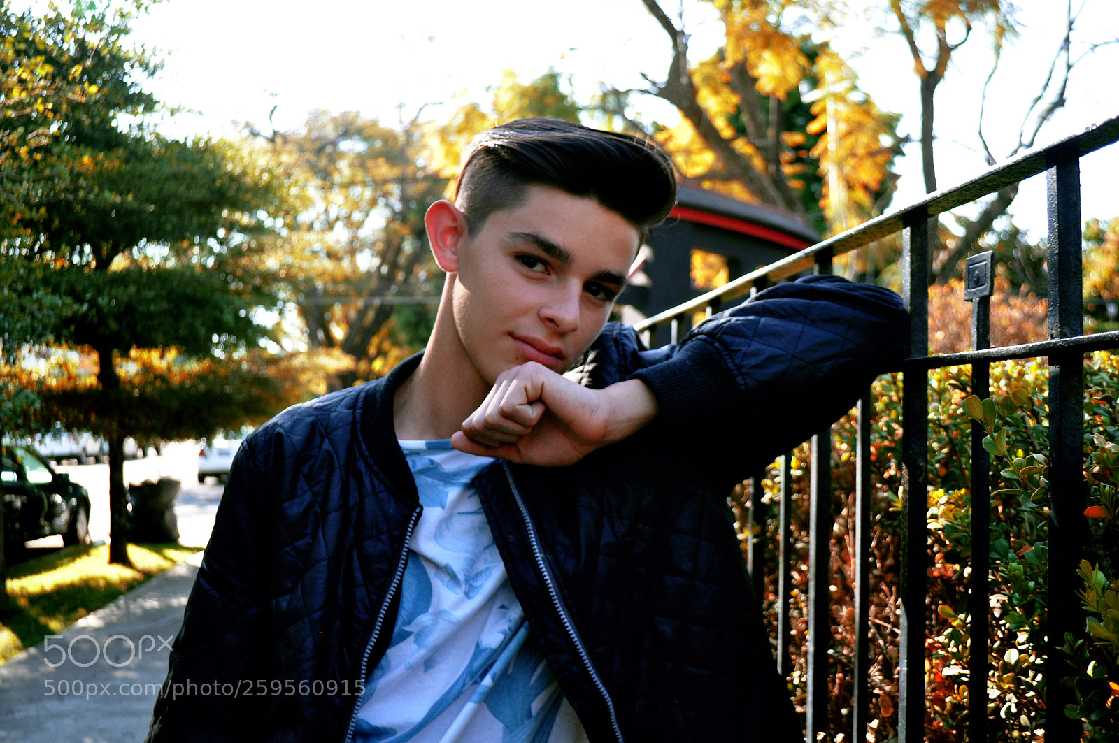 Nikon D5000 sample photo. Untitled photography