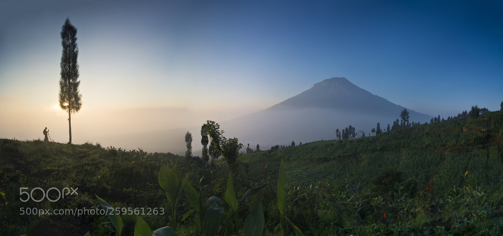 Nikon D7200 sample photo. Sunrise photography