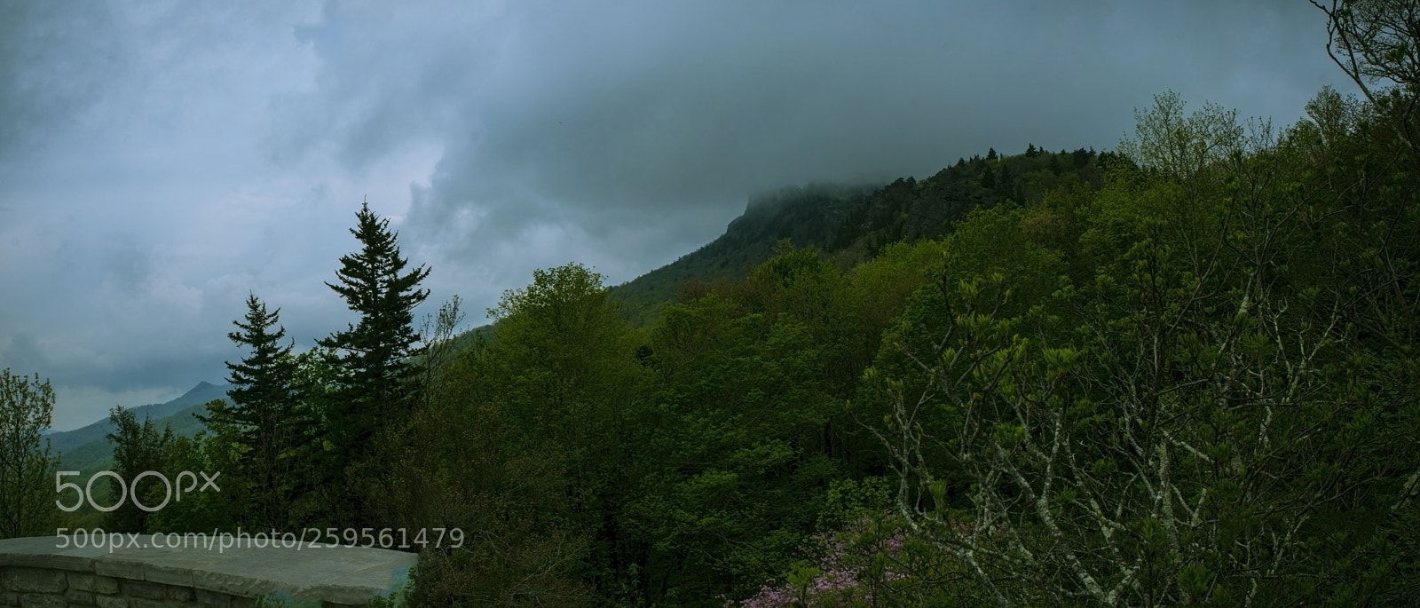 Nikon D80 sample photo. Blown away!!! photography