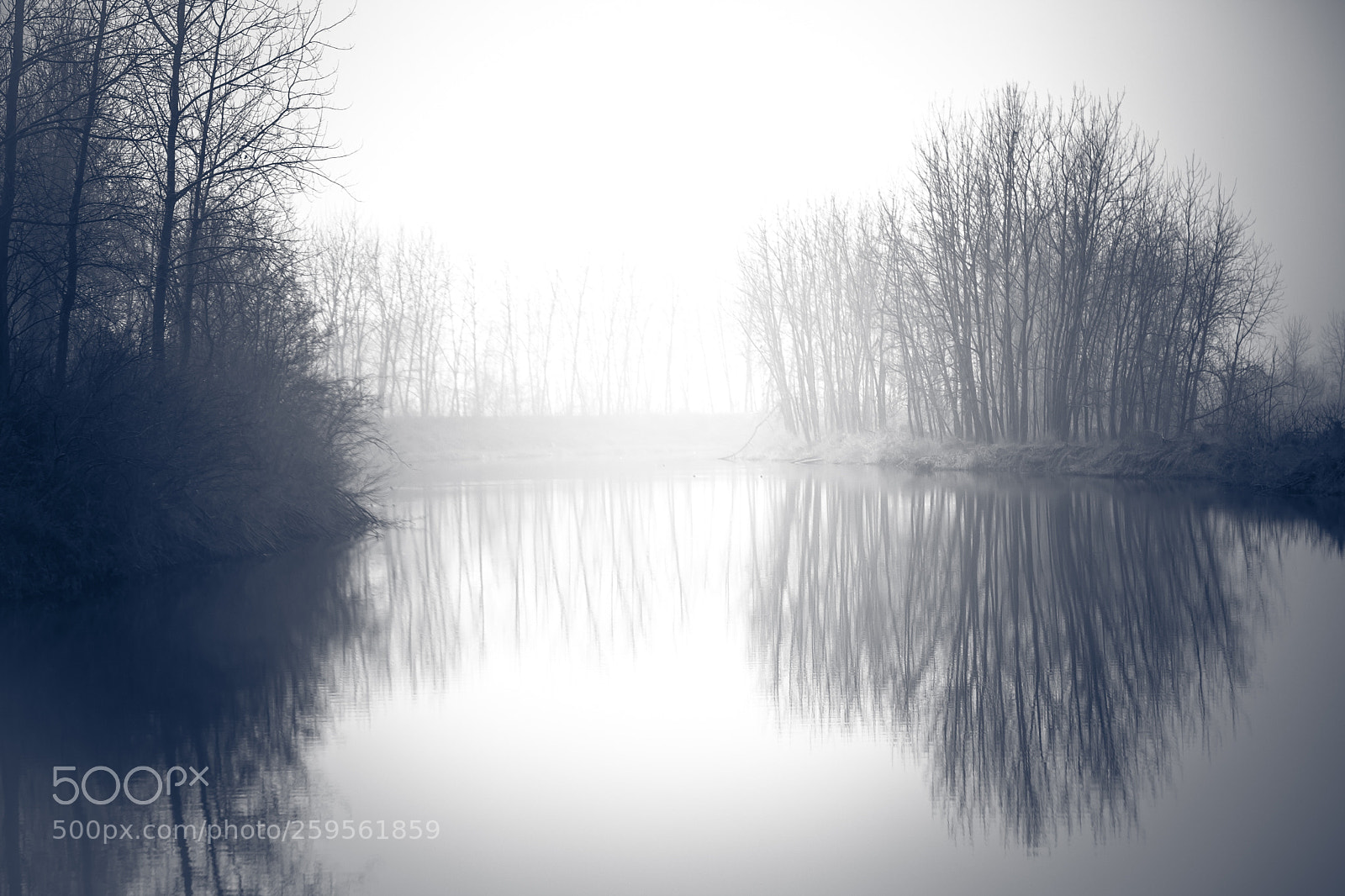 Canon EOS 5D Mark II sample photo. Woods in fog photography
