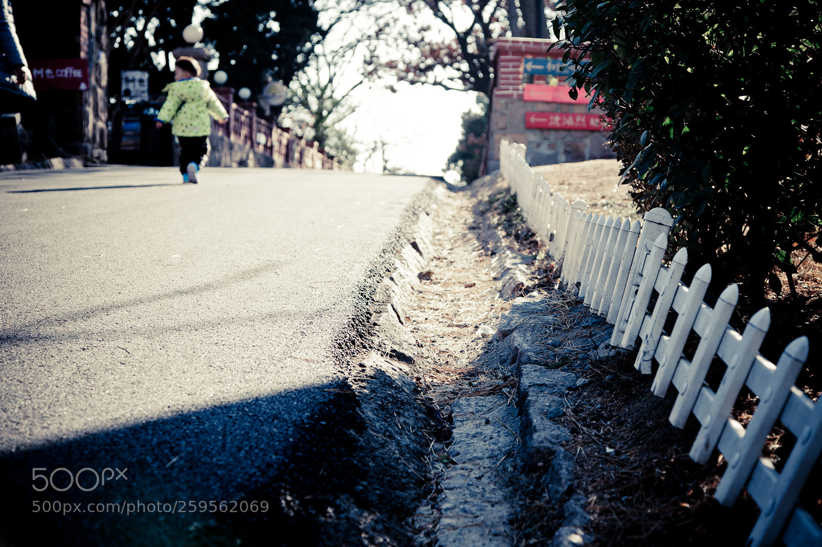 Canon EOS 5D Mark II sample photo. Img photography