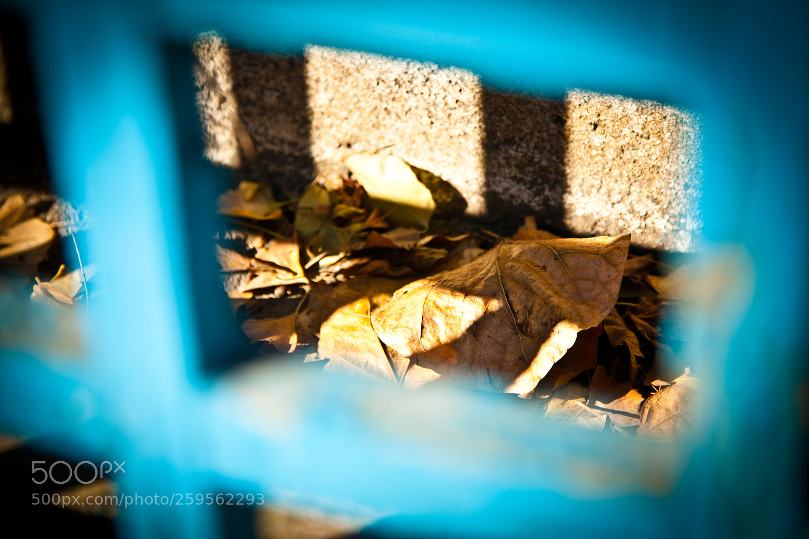Canon EOS 5D Mark II sample photo. Img photography