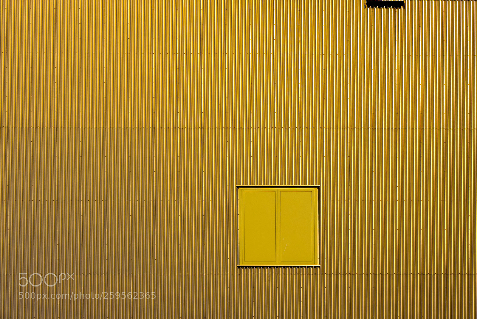 Panasonic Lumix DMC-LX100 sample photo. The gold wall photography