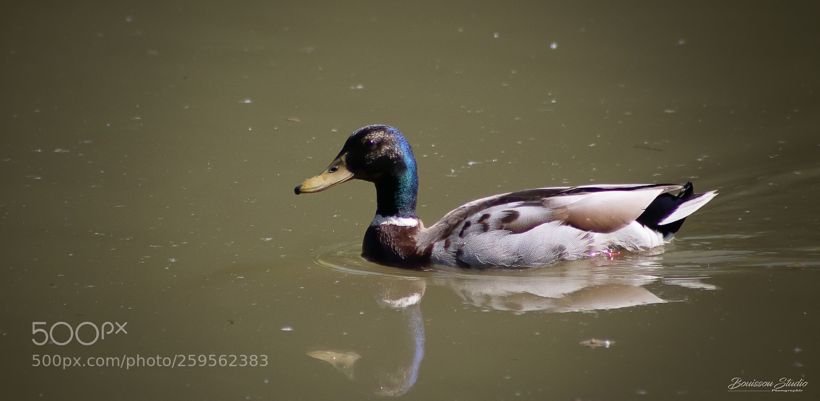 Canon EOS 80D sample photo. Tranquille photography