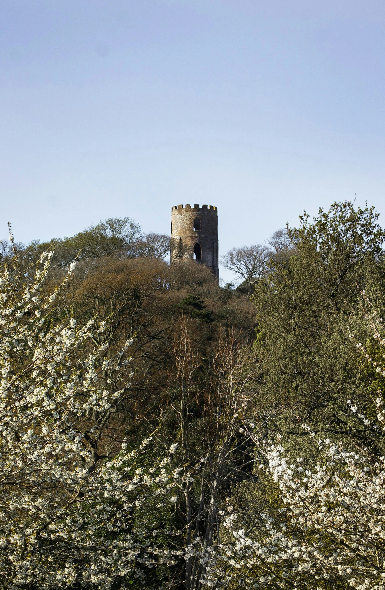 Canon EOS 600D (Rebel EOS T3i / EOS Kiss X5) sample photo. The tower on the hill, dunster photography