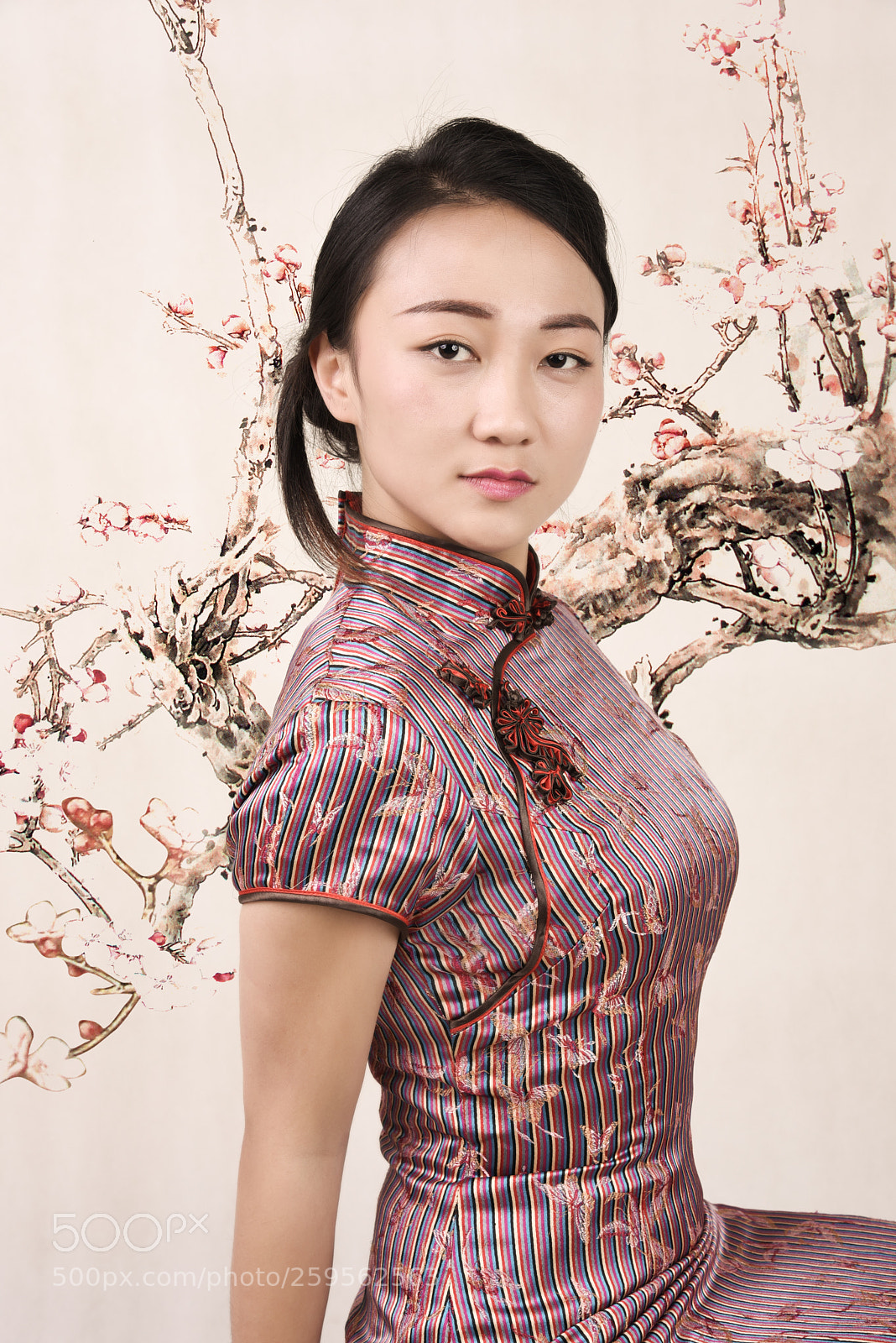 Nikon D750 sample photo. 画意 photography