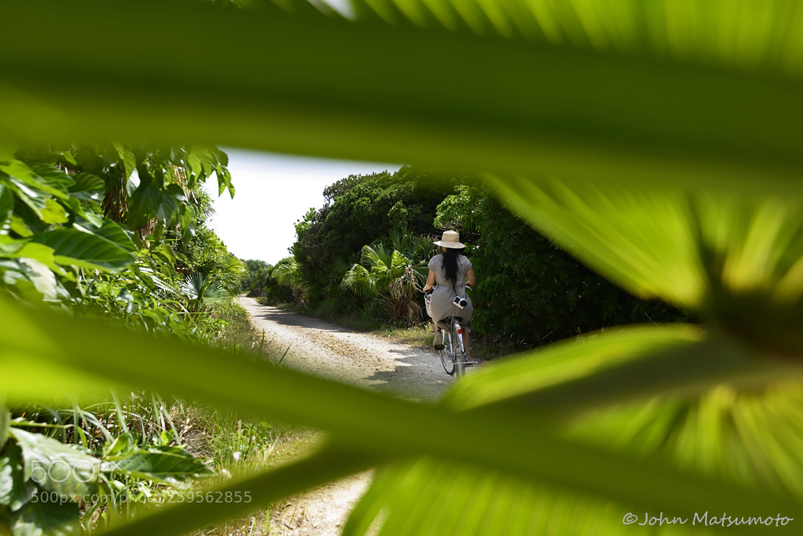 Nikon D610 sample photo. Cycling road photography