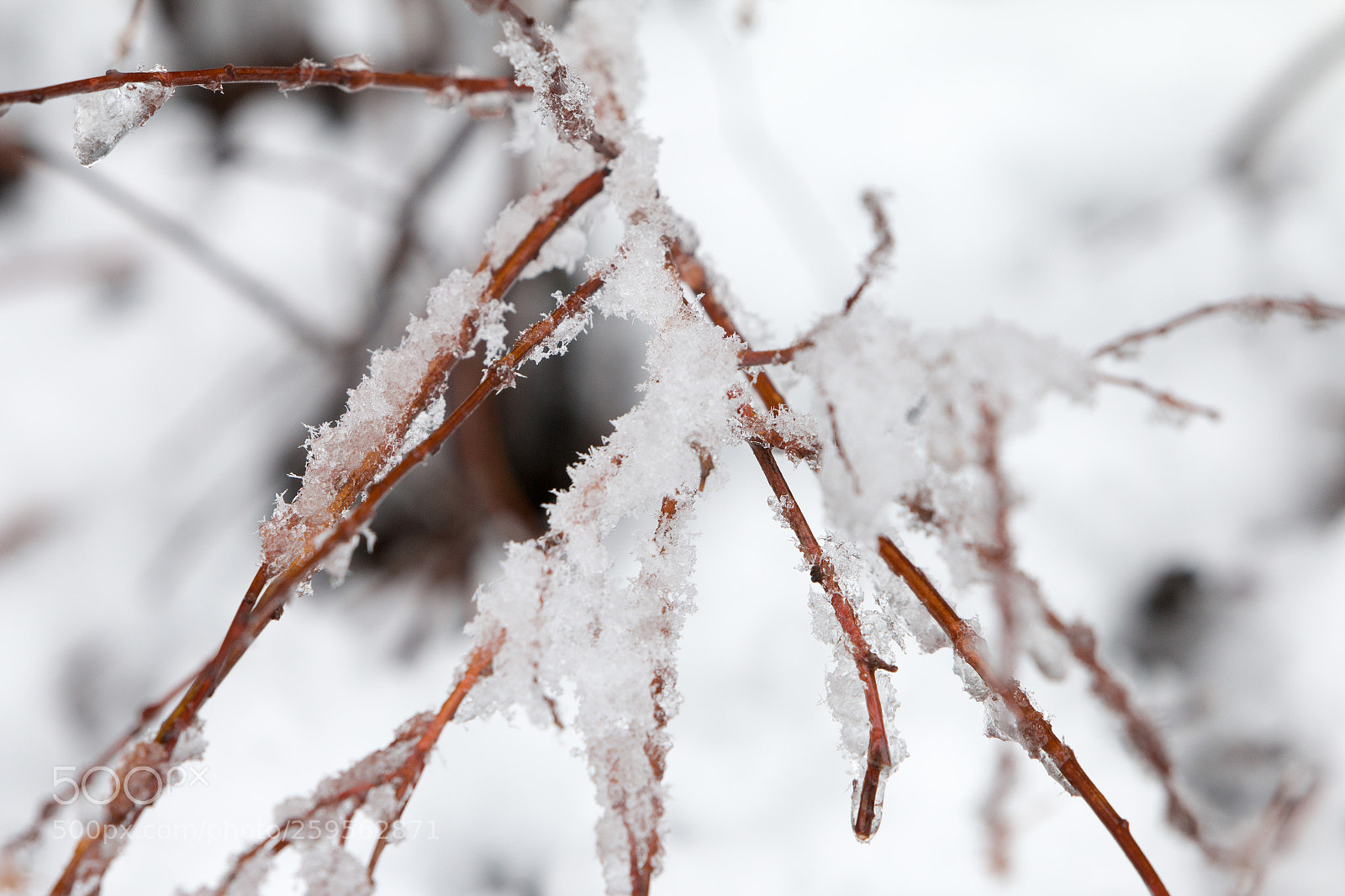 Canon EOS 70D sample photo. Un peu de fra photography