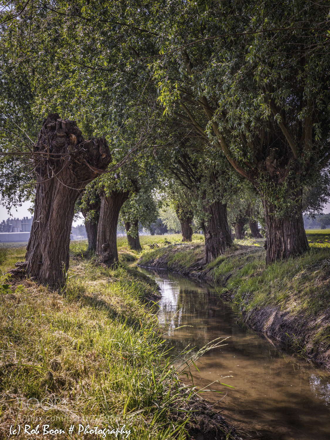 Canon EOS 5DS sample photo. Oude kanjelbeek @ itteren 3 photography