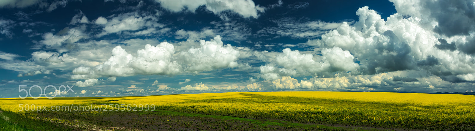 Pentax K-3 II sample photo. Southern idaho photography
