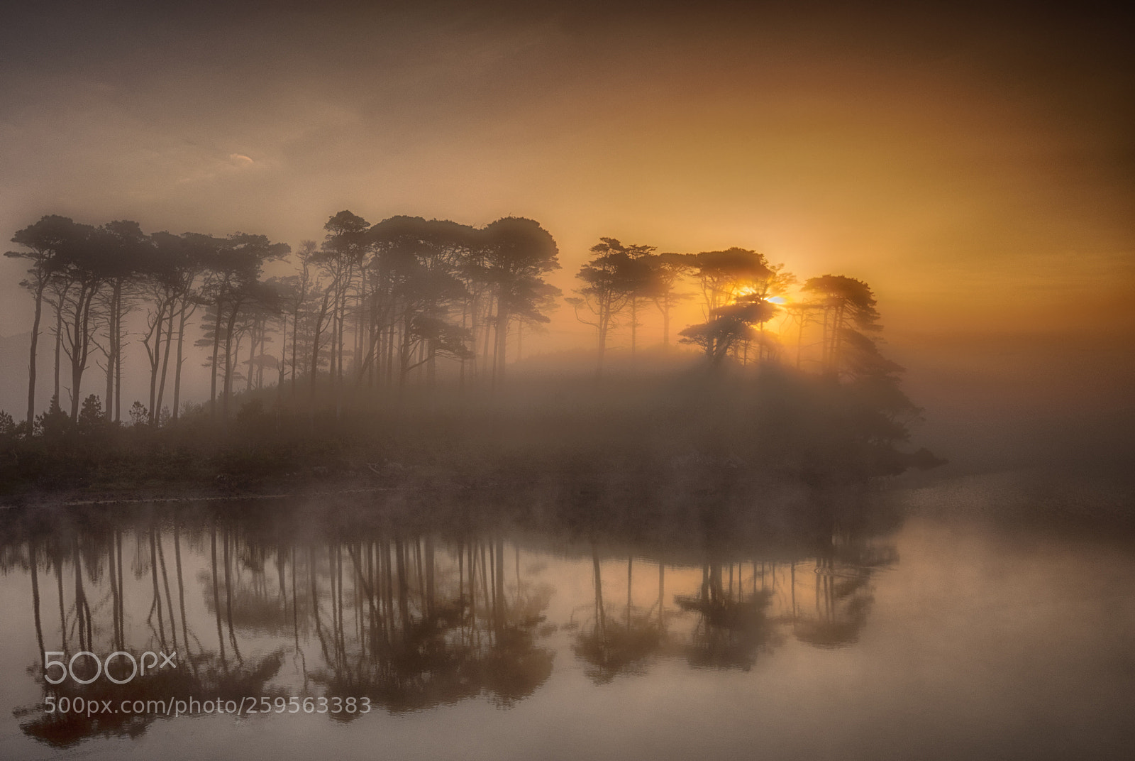 Nikon D750 sample photo. Derryclare lough photography