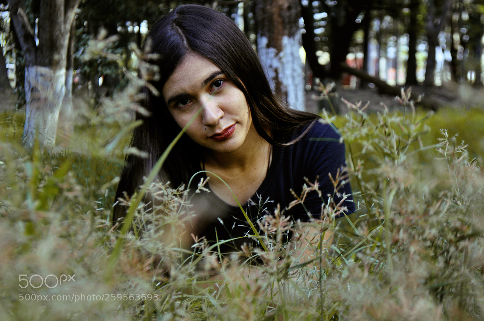 Nikon D5000 sample photo. Nature photography