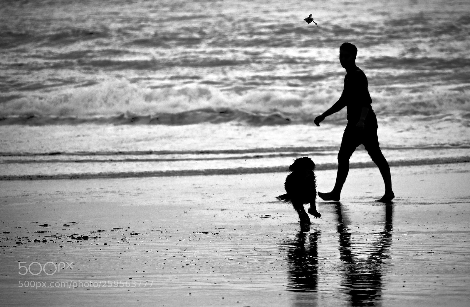 Canon EOS 5D Mark IV sample photo. Catch photography