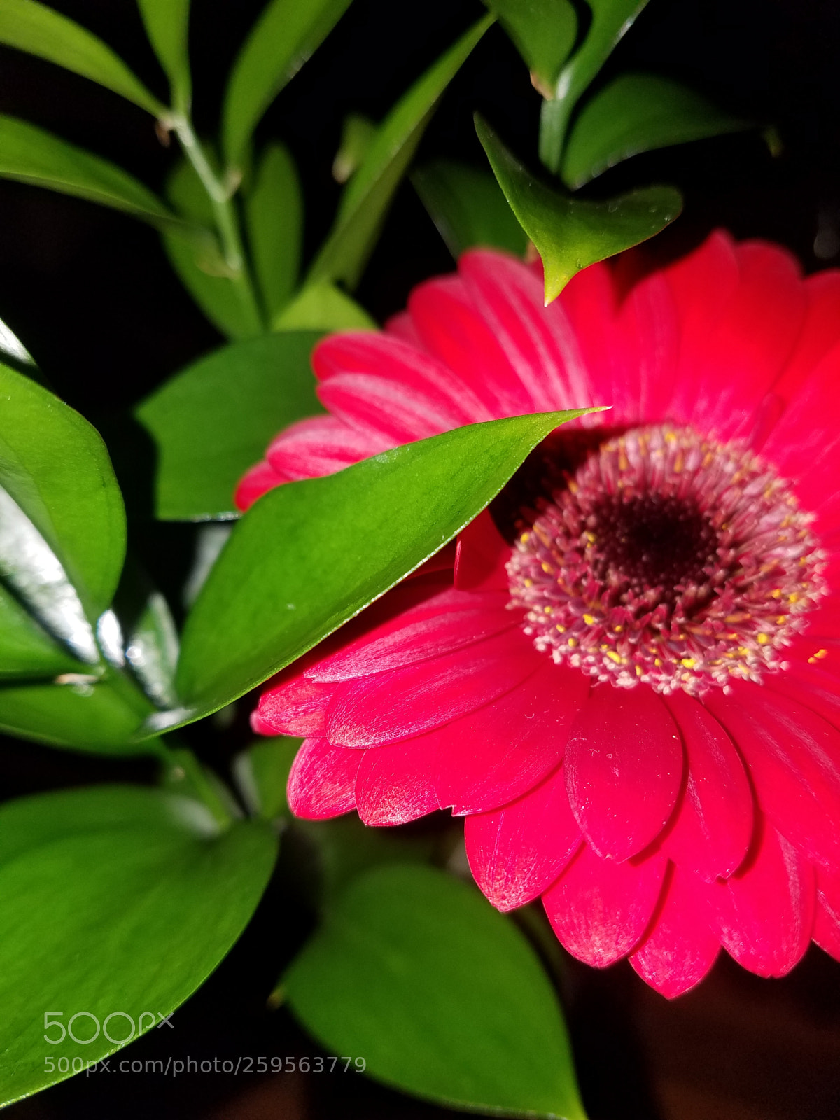Samsung Galaxy S7 sample photo. 20180523_062755.jpg photography