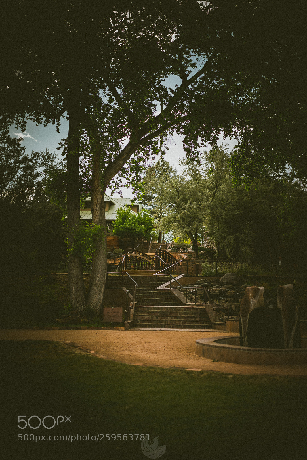 Sony a7R II sample photo. Upward momentum photography