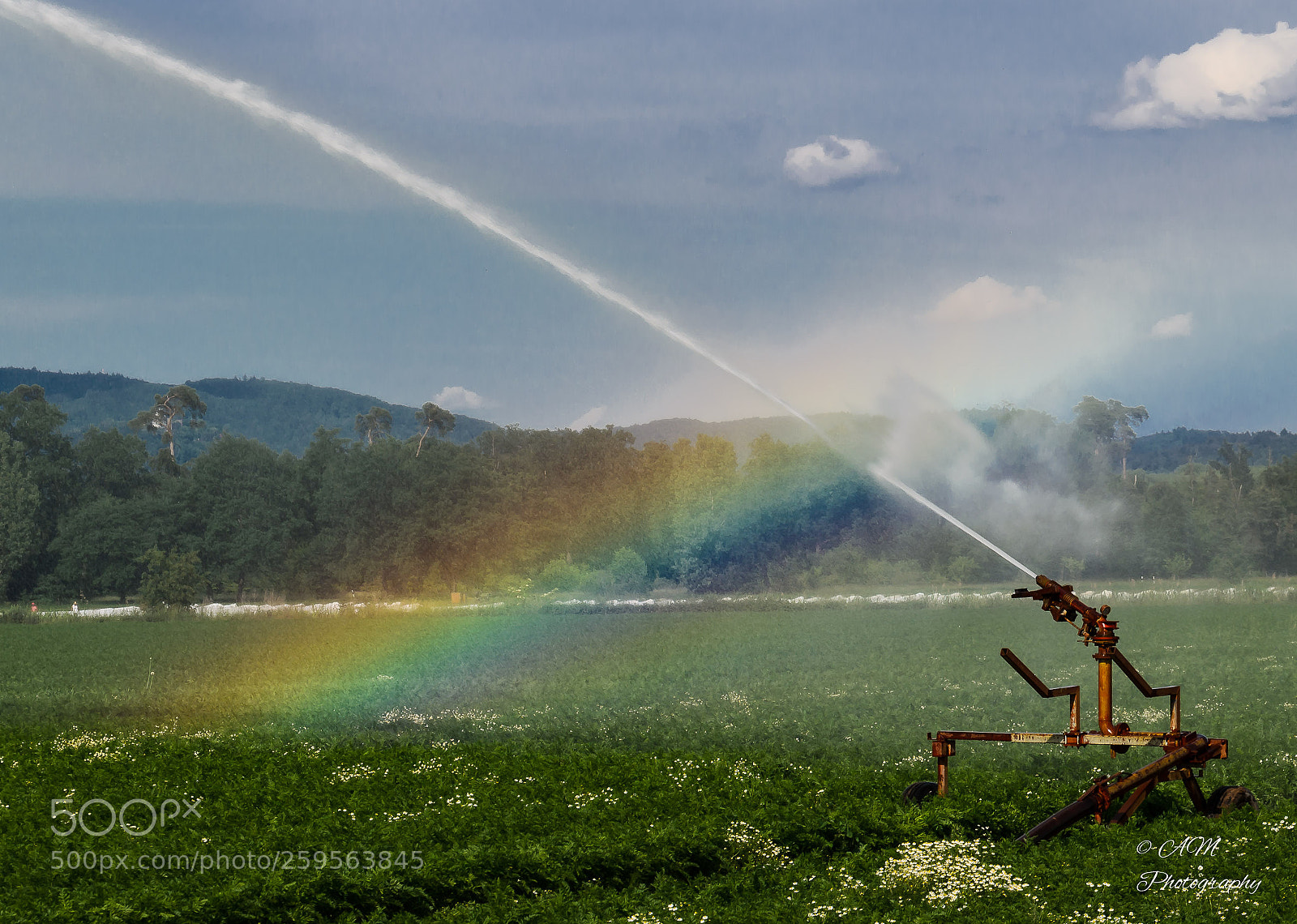 Nikon D5100 sample photo. Regenbogen photography