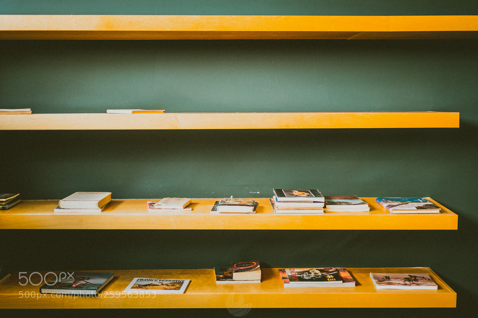 Sony a7R II sample photo. Library shelves photography