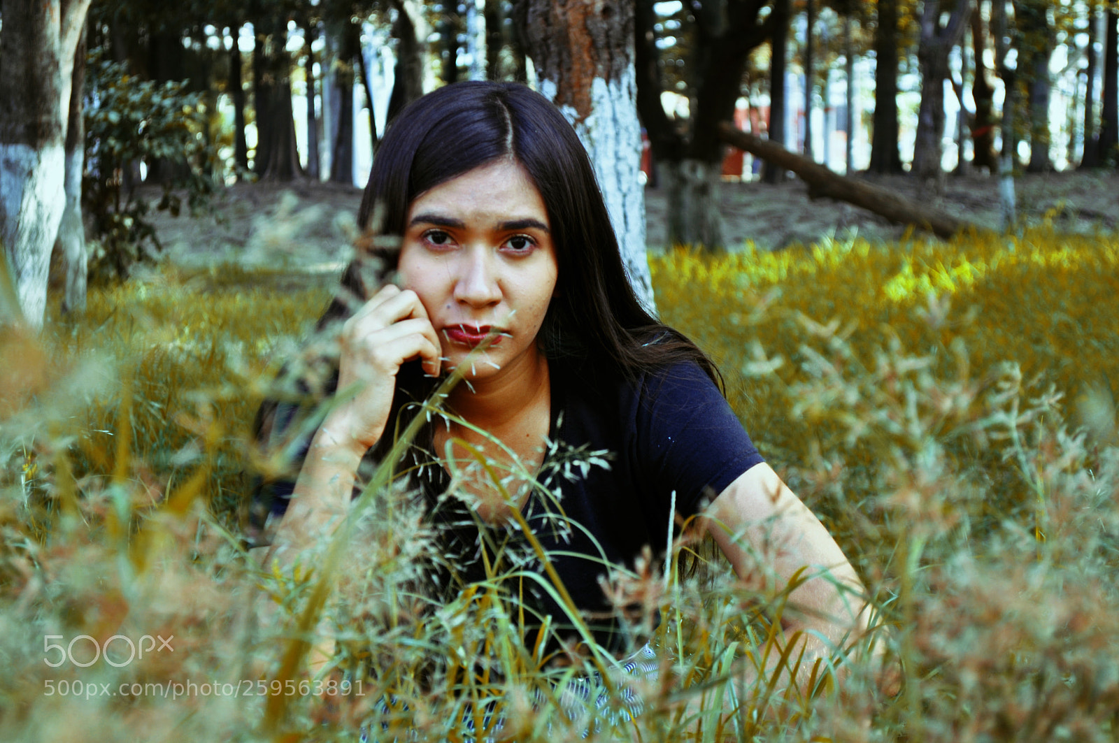 Nikon D5000 sample photo. Nature photography