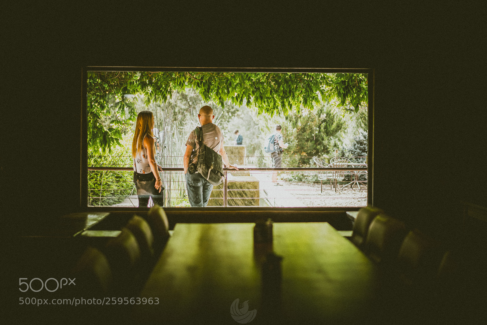 Sony a7R II sample photo. Browsing photography