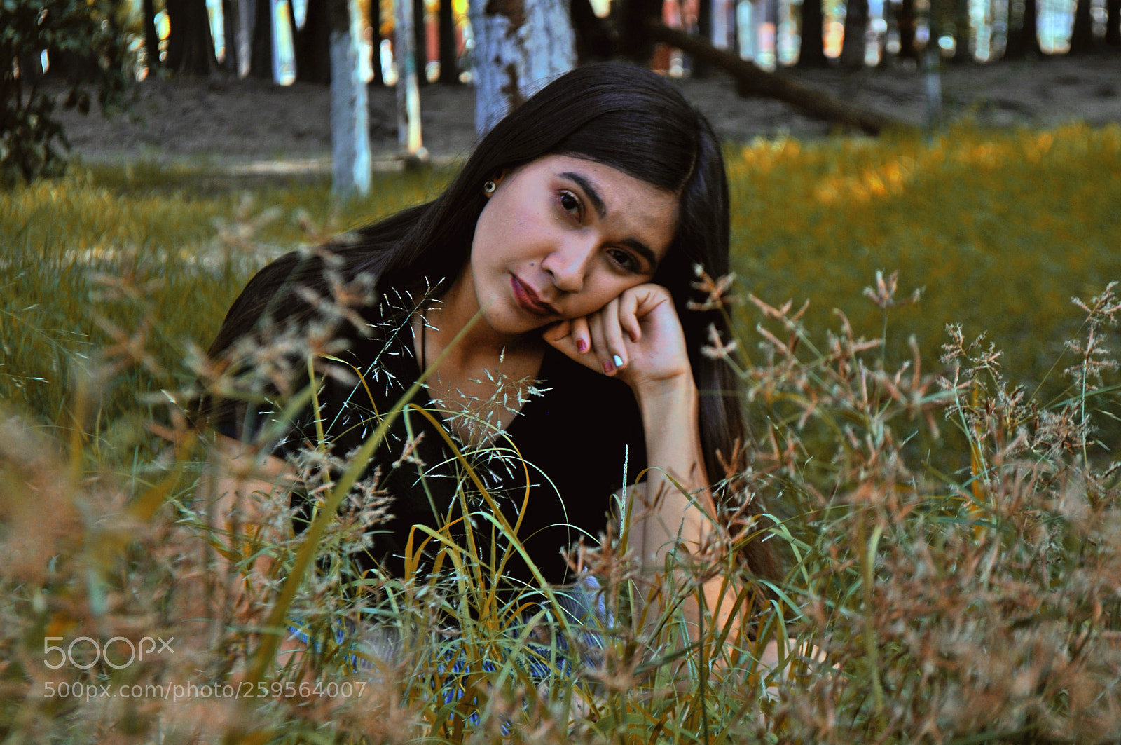 Nikon D5000 sample photo. Nature photography
