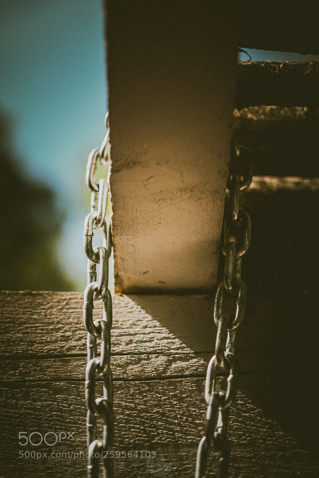 Sony a7R II sample photo. Rugged hammock photography