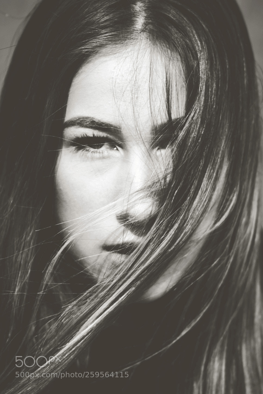 Nikon D750 sample photo. Sienna b&w photography