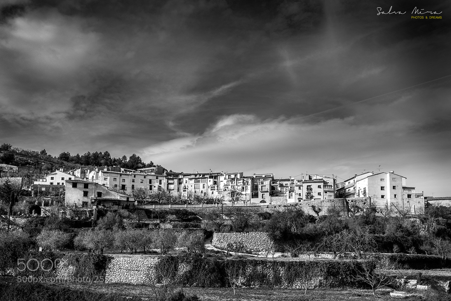 Sony a7 II sample photo. Alcoleja photography