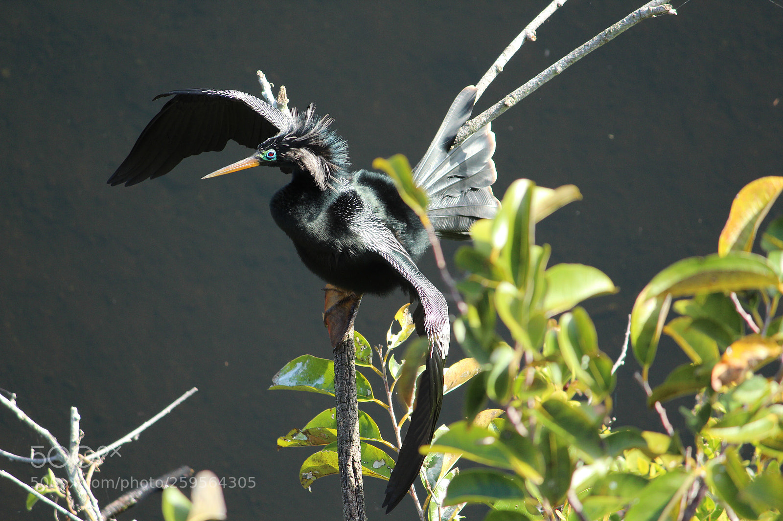 Canon EOS 600D (Rebel EOS T3i / EOS Kiss X5) sample photo. •...set free• photography