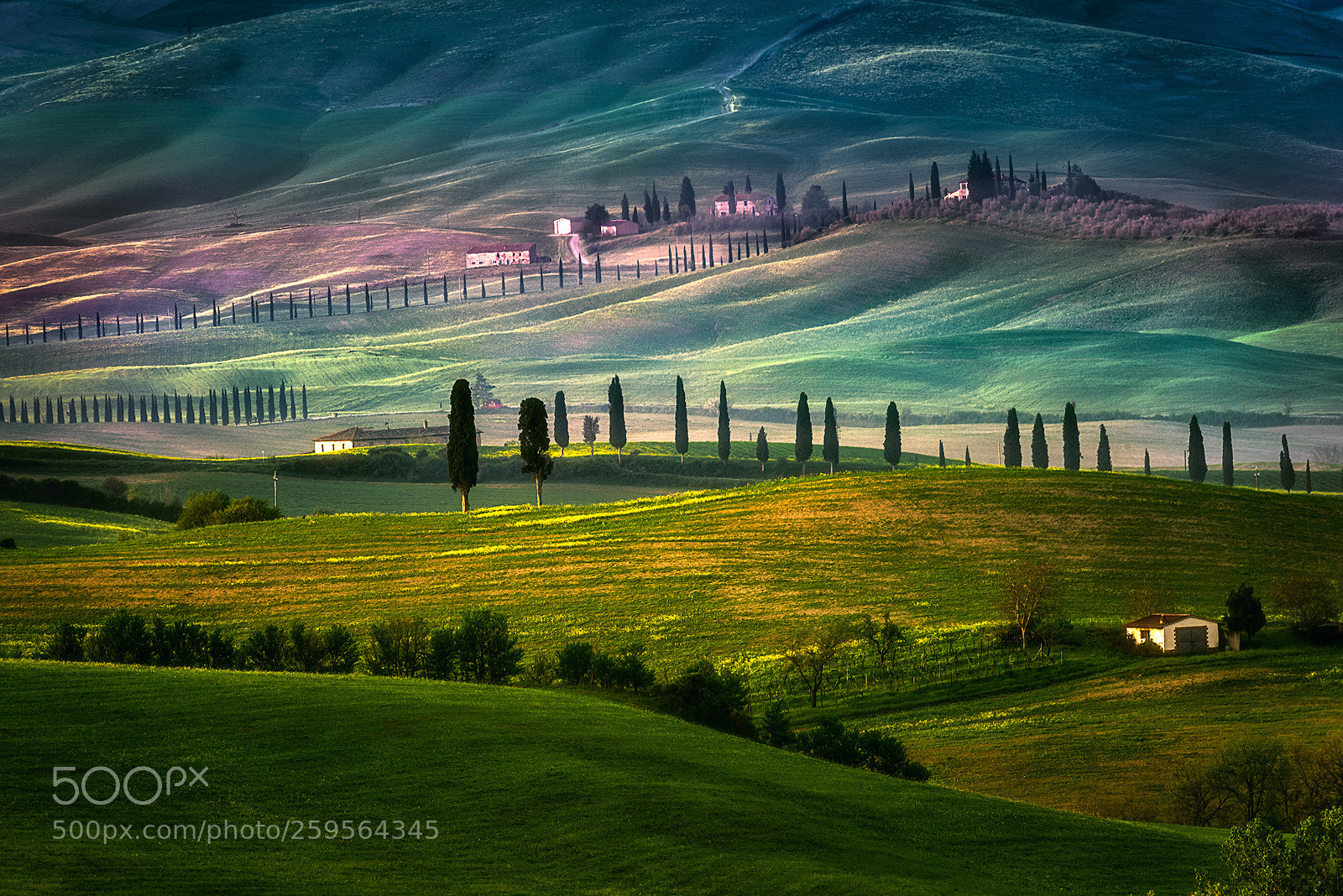 Nikon D810 sample photo. Quite morning in tuscany photography