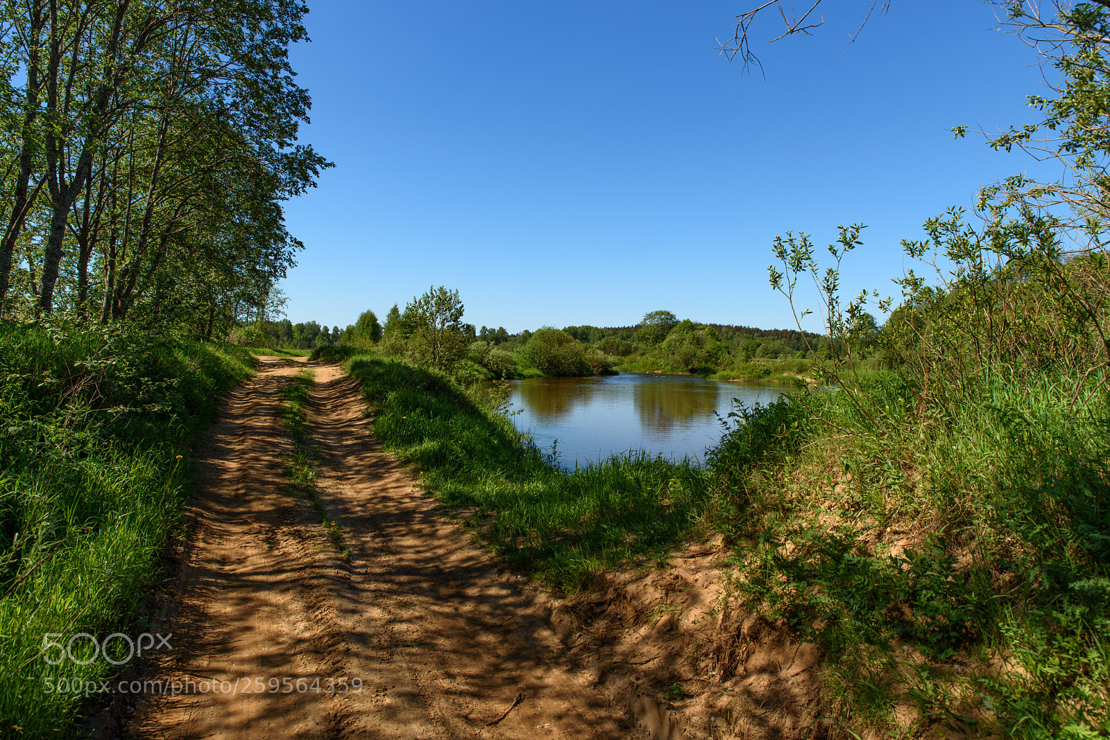 Nikon D750 sample photo. Wap photography