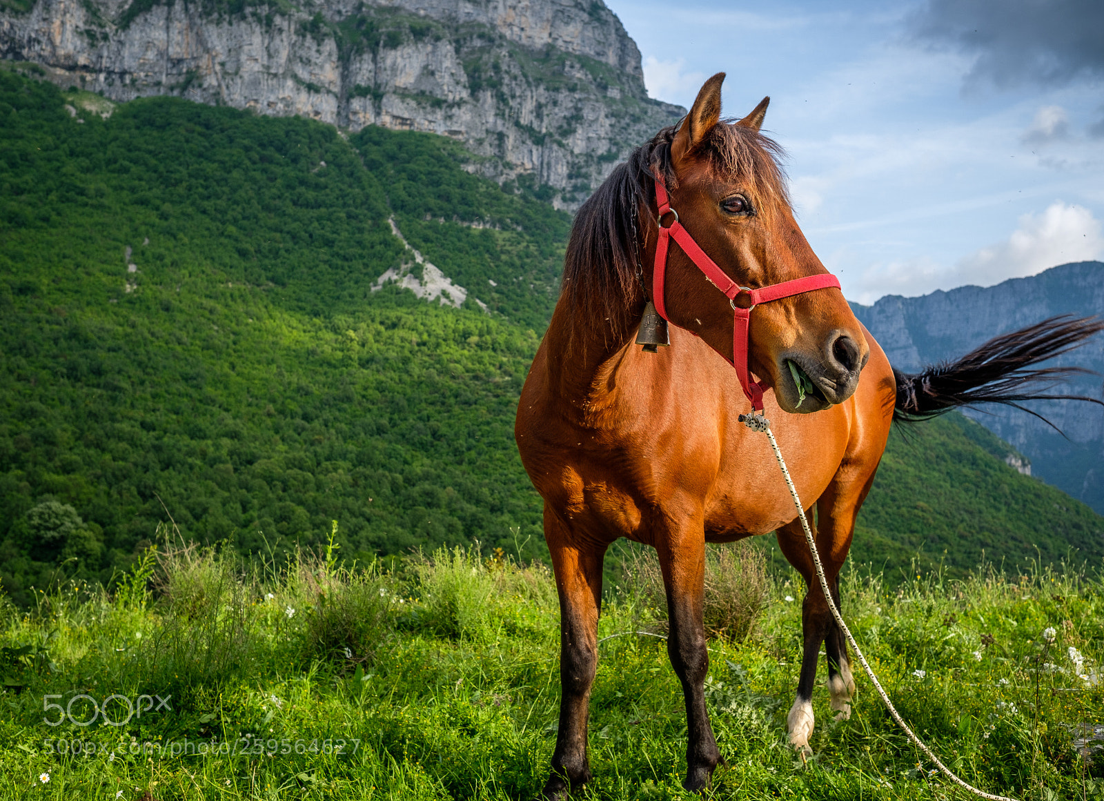 Fujifilm X-T2 sample photo. Epirus, greece photography