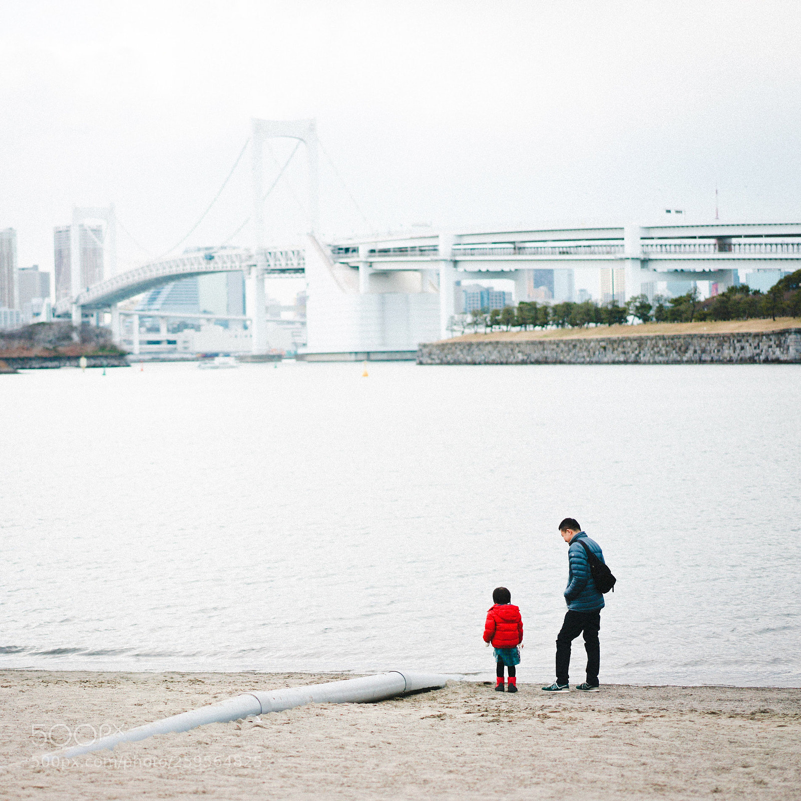 Sony a7 II sample photo. Untitled photography