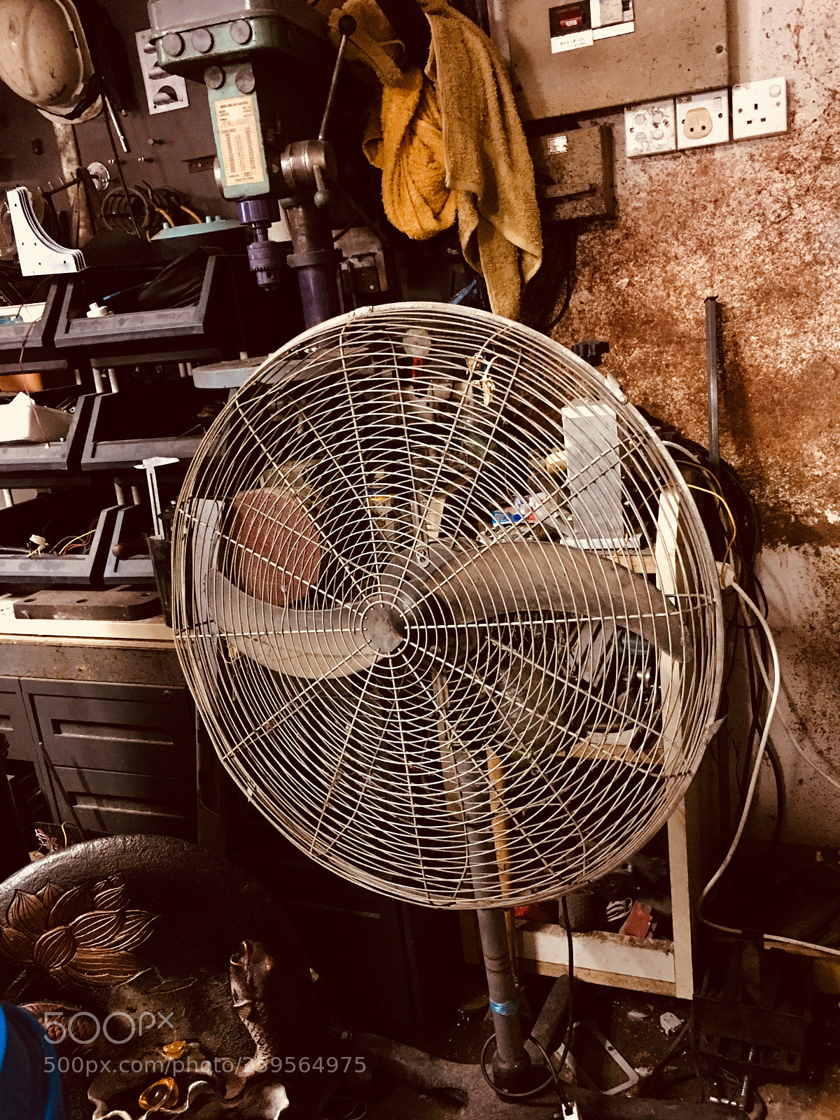 Apple iPhone 6s Plus sample photo. Untitled photography