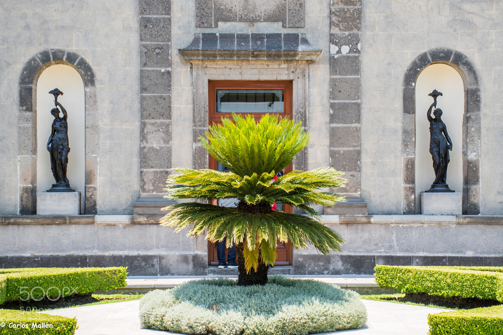 Nikon D5500 sample photo. Chapultepec castle garden photography