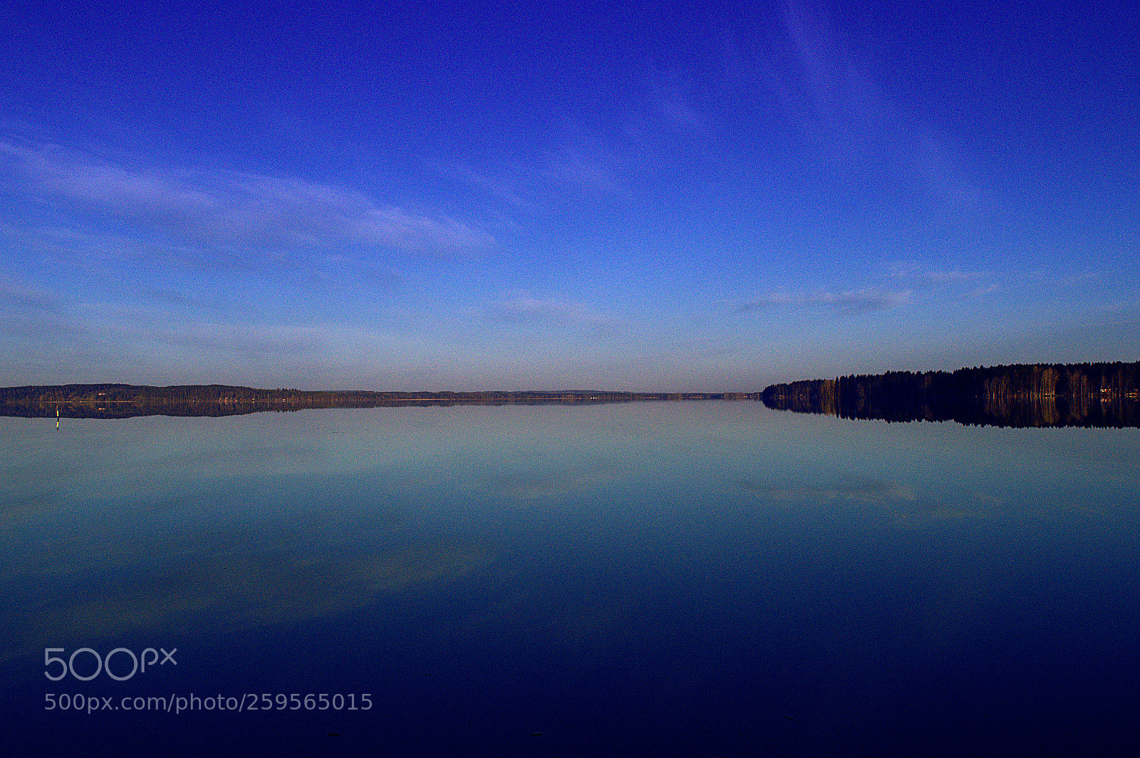 Nikon D3200 sample photo. Summer morning photography