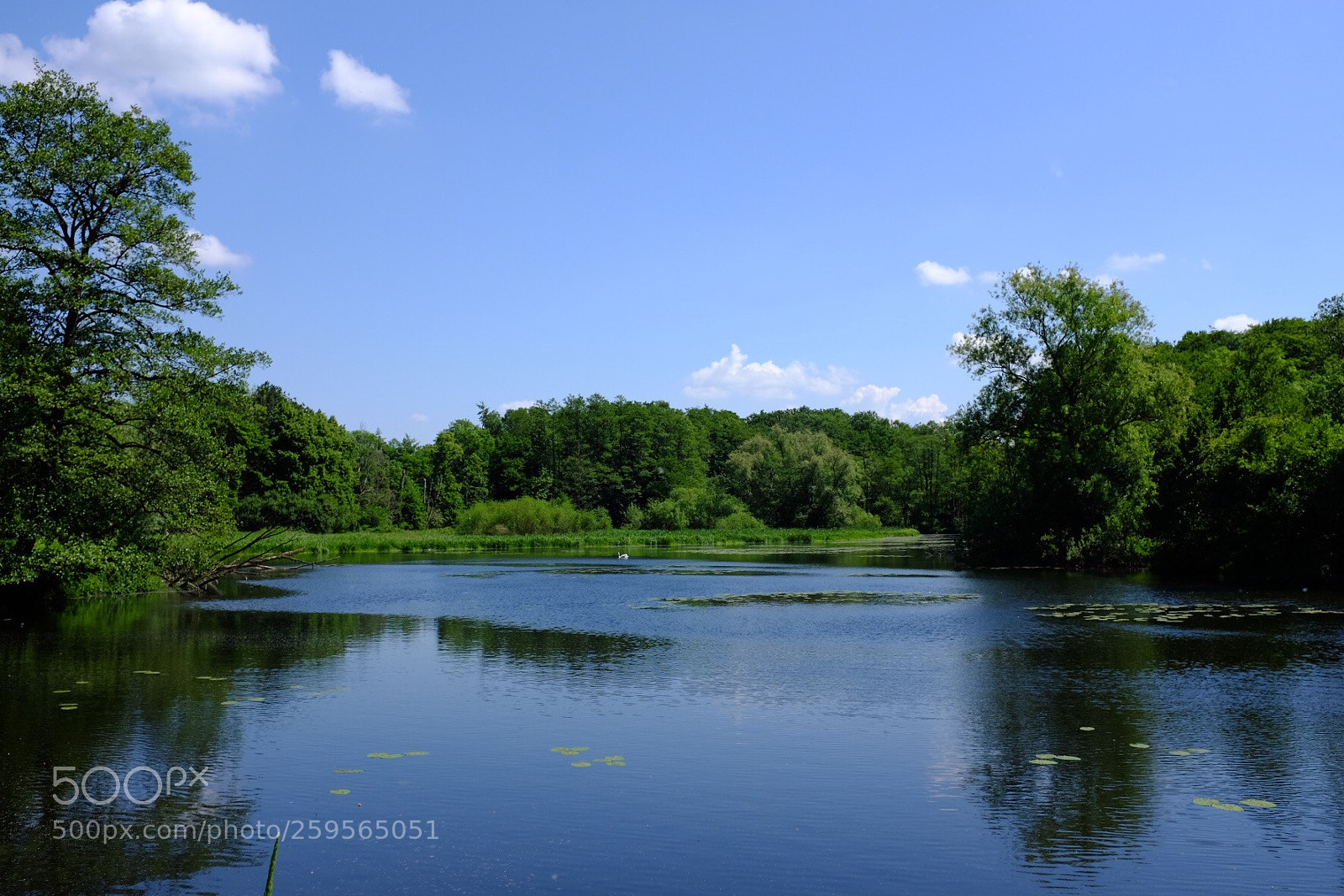 Fujifilm X100T sample photo. Der kupferteich in wohldorf photography