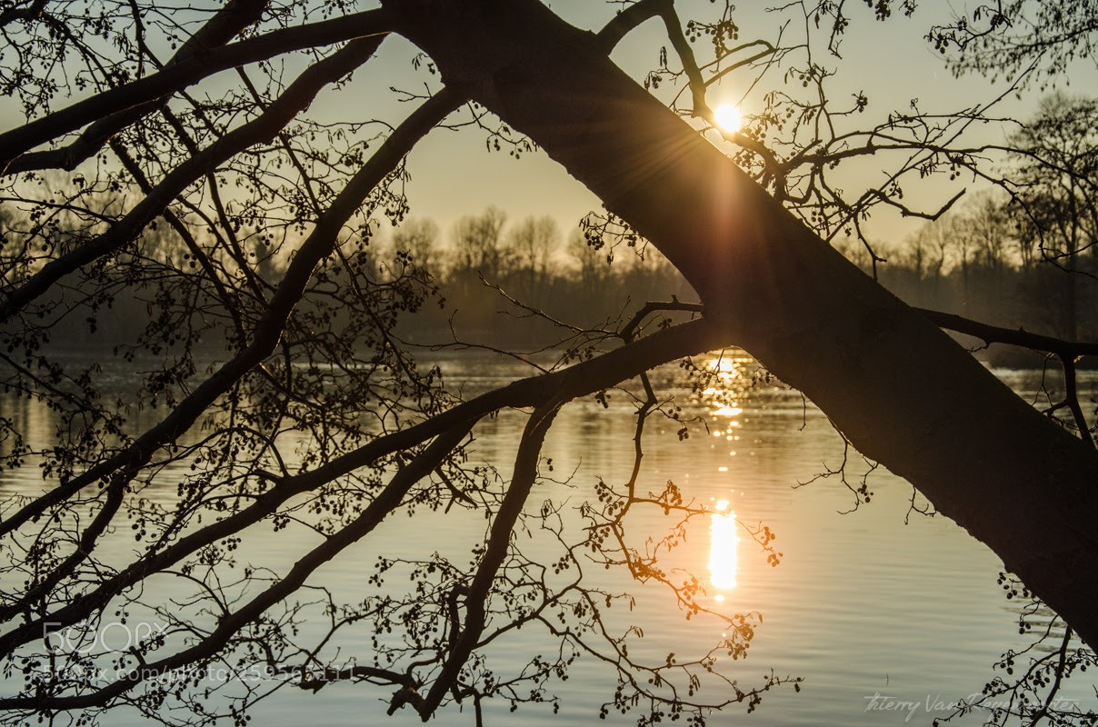 Nikon D7000 sample photo. Kessel-lo photography