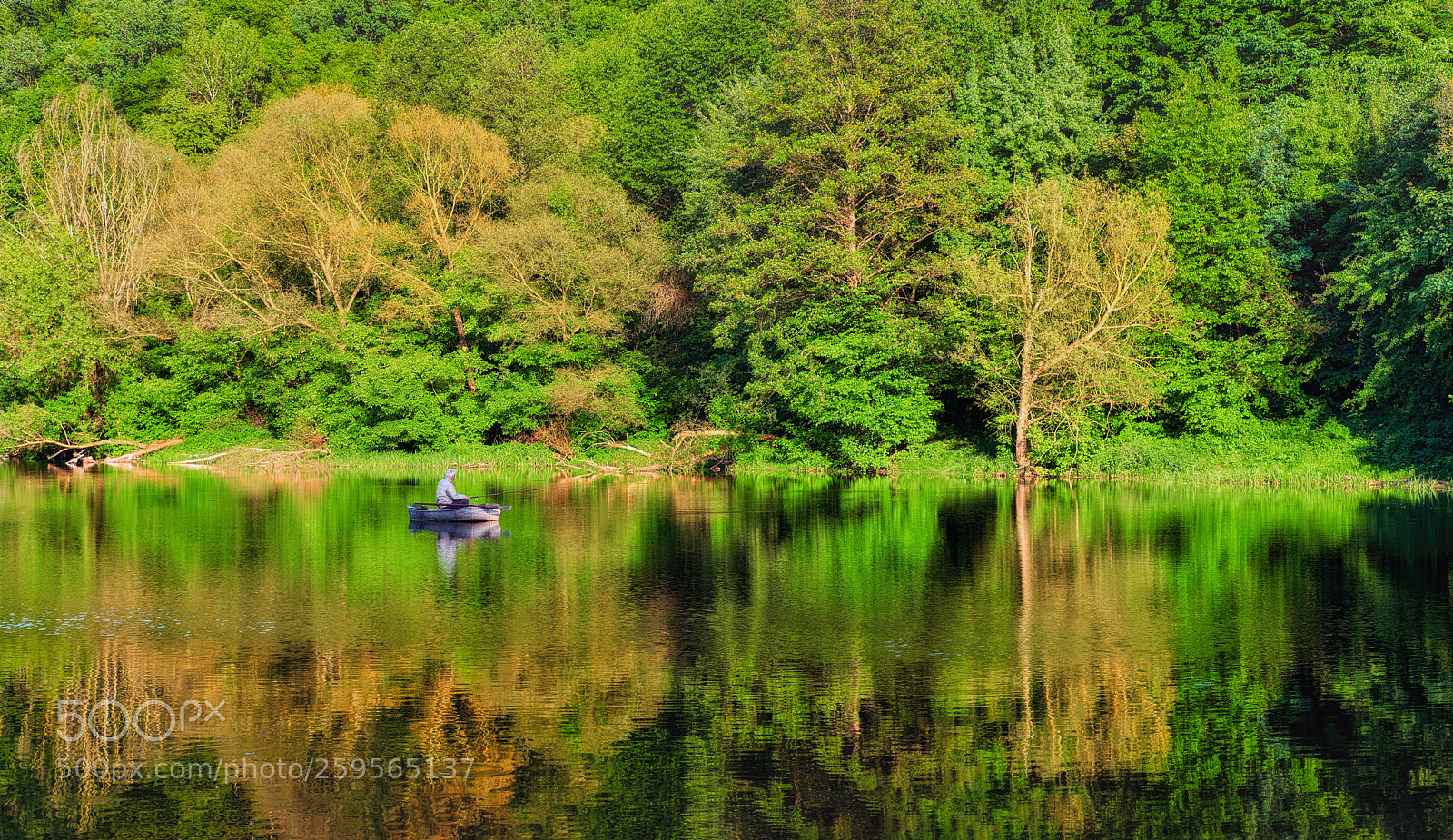 Nikon D800E sample photo. Evening fishing photography