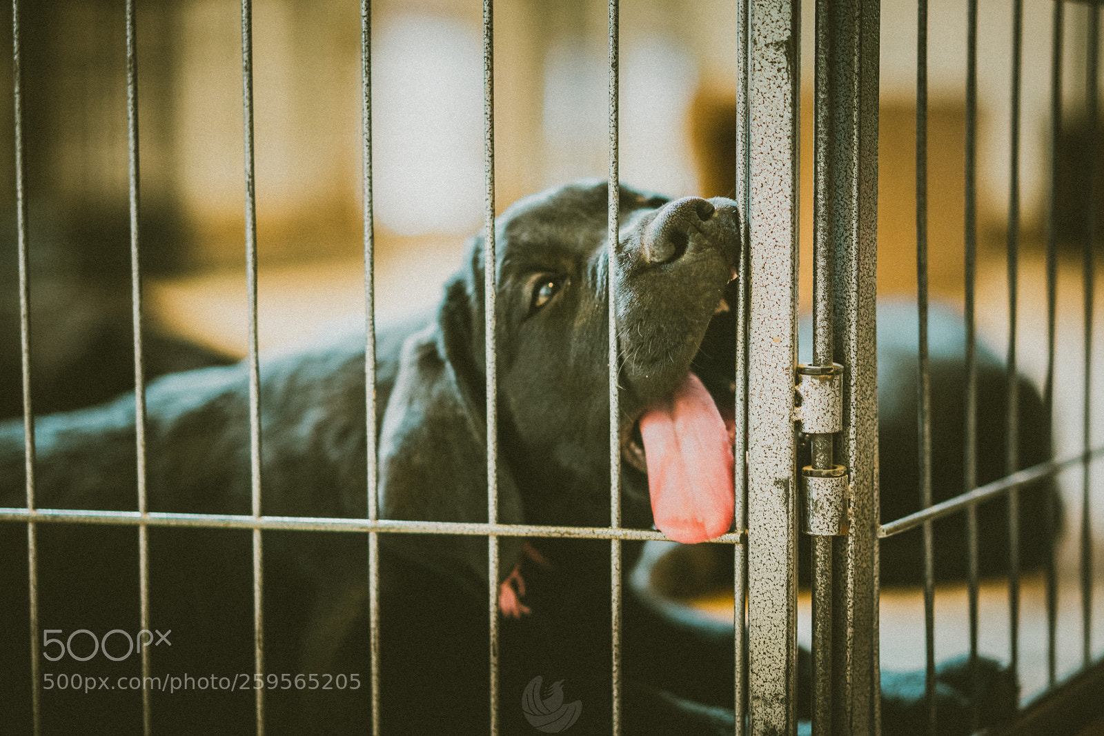 Sony a7R II sample photo. She stood out photography