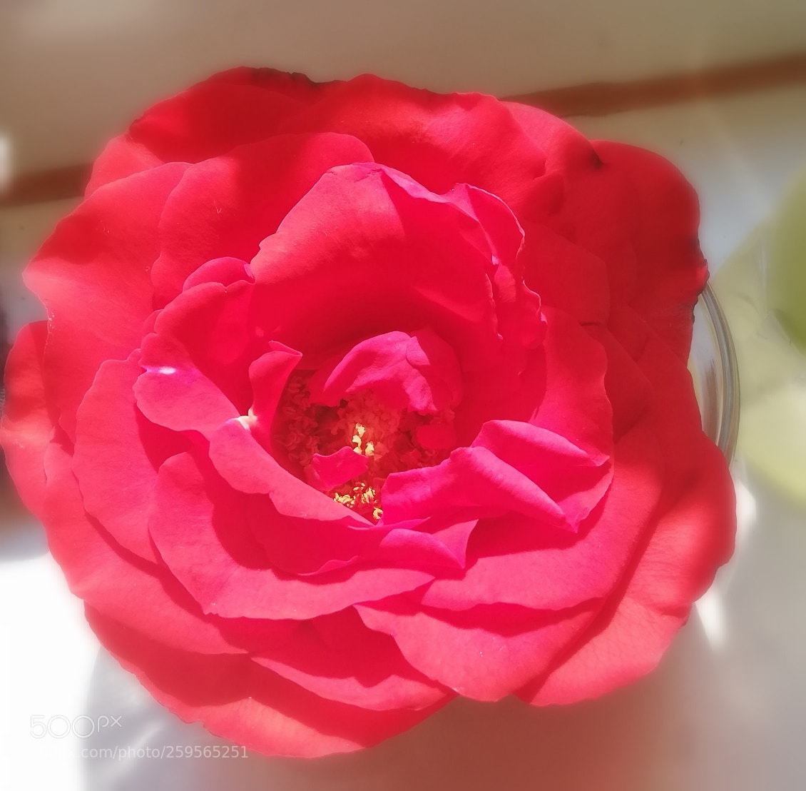 HUAWEI P20 lite sample photo. Untitled photography